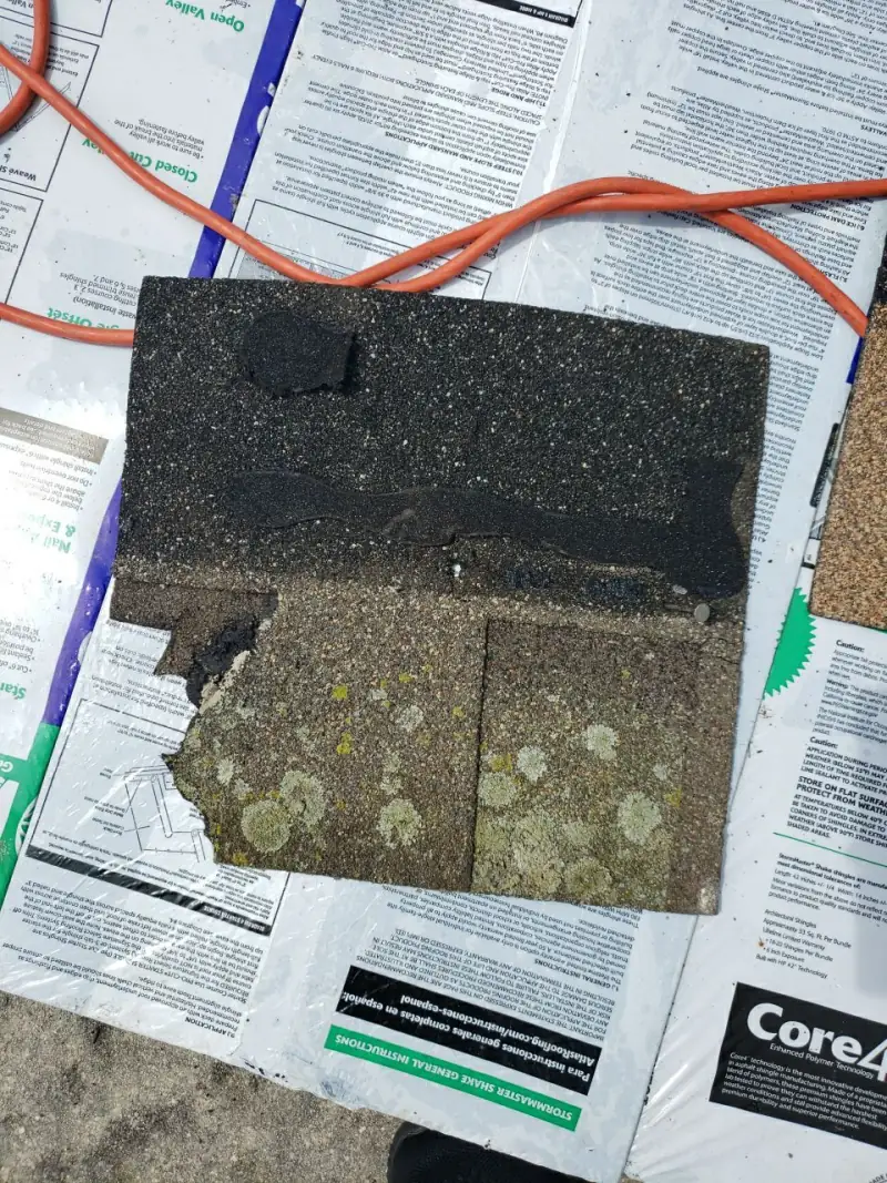 A worn shingle torn at one corner, spotted with lichen